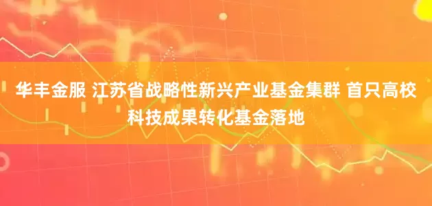 华丰金服 江苏省战略性新兴产业基金集群 首只高校科技成果转化基金落地