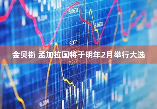 金贝街 孟加拉国将于明年2月举行大选