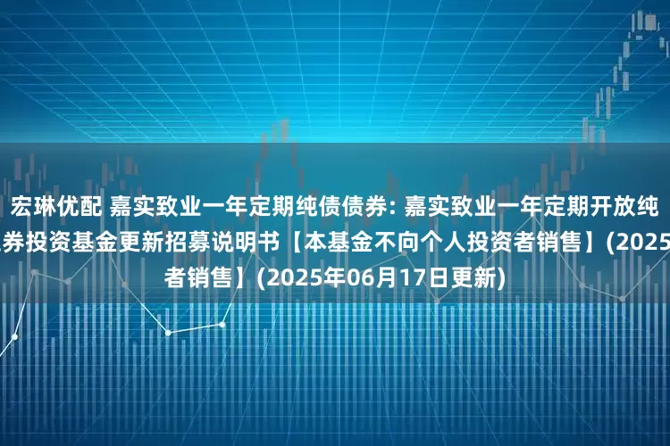 宏琳优配 嘉实致业一年定期纯债债券: 嘉实致业一年定期开放纯债债券型发起式证券投资基金更新招募说明书【本基金不向个人投资者销售】(2025年06月17日更新)